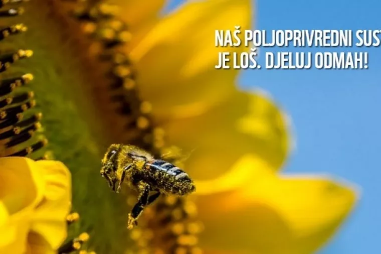 'Poticaji za leptire' u raspravi o Zajedničkoj poljoprivrednoj politici EU