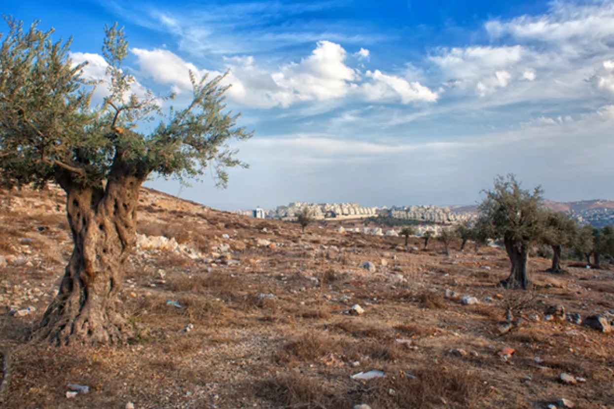 Hamas zagovara oslobođenje Palestine, ali bez priznavanja Izraela