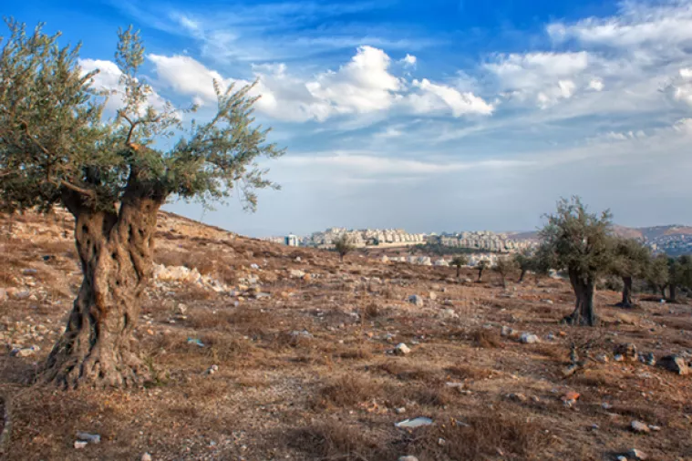 Hamas zagovara oslobođenje Palestine, ali bez priznavanja Izraela