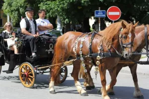 Trodnevni sajam poljoprivrede, malog gospodarstva i obrta u Vrbovcu