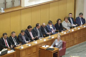 MIP: Orepić, Dobrović i Kovačić vraćaju se u saborske klupe