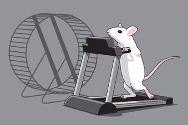 Američki znanstvenici rade na tableti koja bi zamijenila tjelovježbu