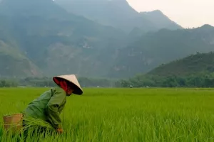 Vijetnamska vlada usvojila STEM, počela s pripremama za 4. industrijsku revoluciju