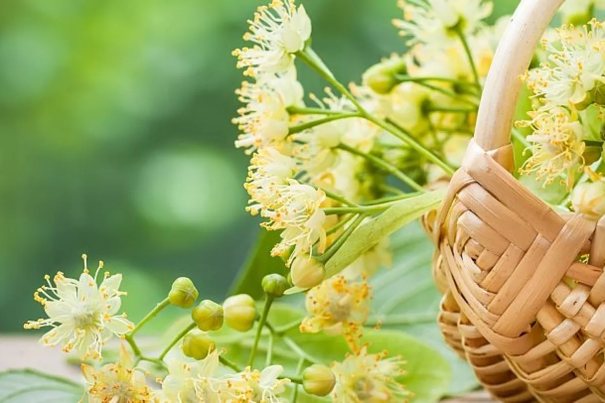 'Isprintaj za baku': Lipa nastavlja s peticijom protiv poreza na nekretnine