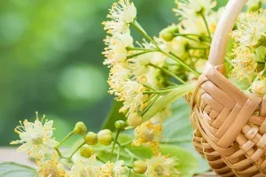 'Isprintaj za baku': Lipa nastavlja s peticijom protiv poreza na nekretnine