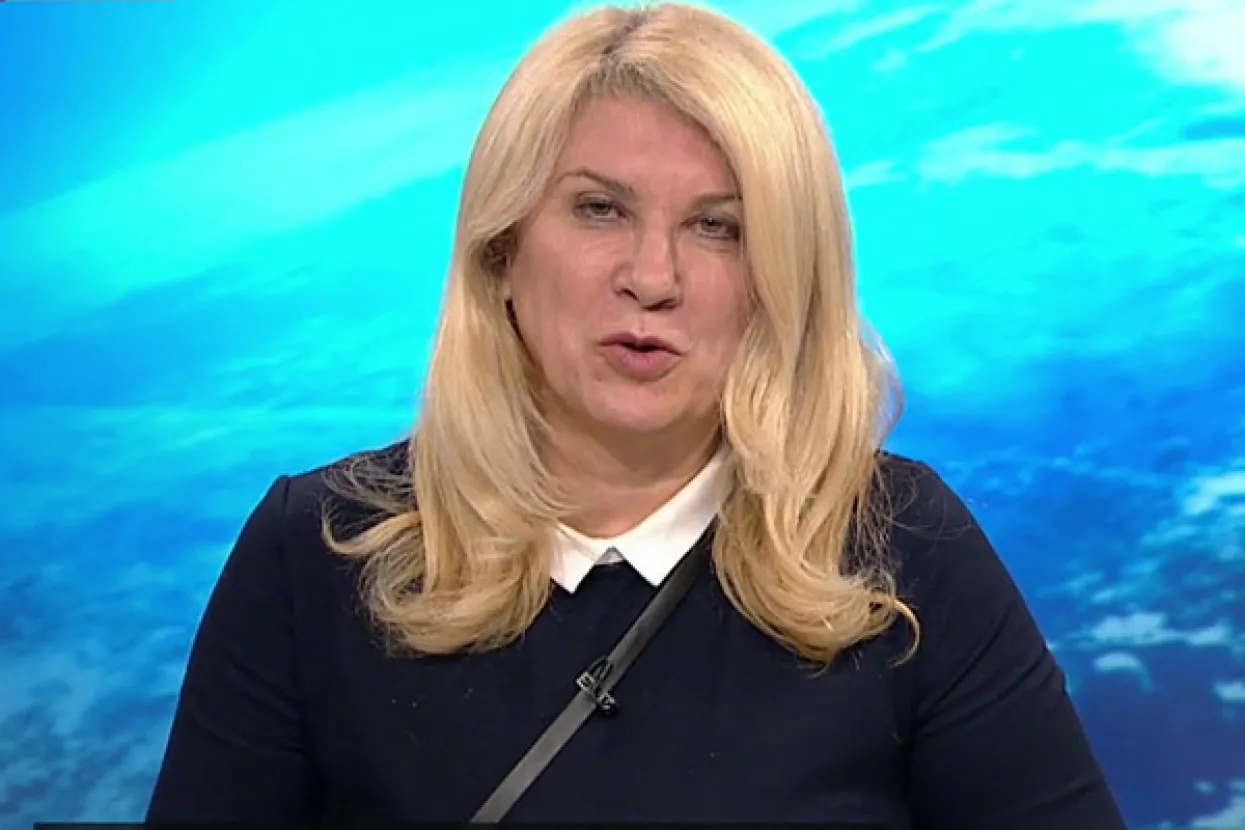 &Scaron;kare-Ožbolt o Agrokoru: Svi su sve znali, nijedna kazna za gospodarski ponor nije dovoljna