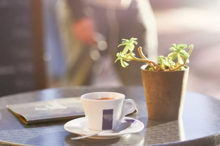 Unatoč strepnjama zbog povećanja PDV-a, u ugostiteljstvu porastao promet