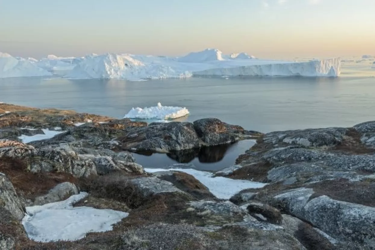 Istraživanje: Klimatske promjene zazelenile Antarktik