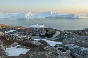 Istraživanje: Klimatske promjene zazelenile Antarktik