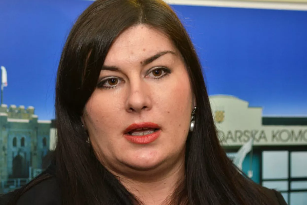 Žalac predlaže novu podjelu Hrvatske na pet statističkih regija