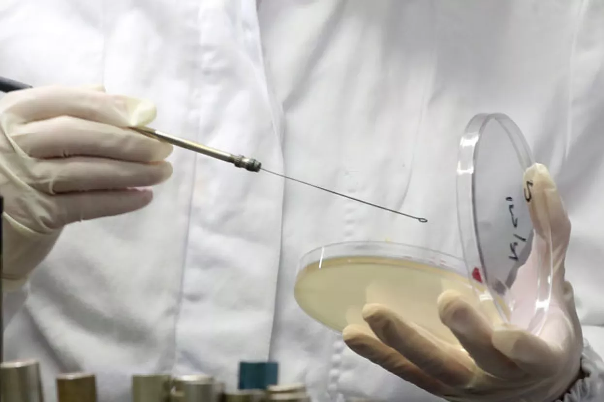 Svježi pileći file podrijetlom iz Poljske povučen iz prodaje zbog salmonele