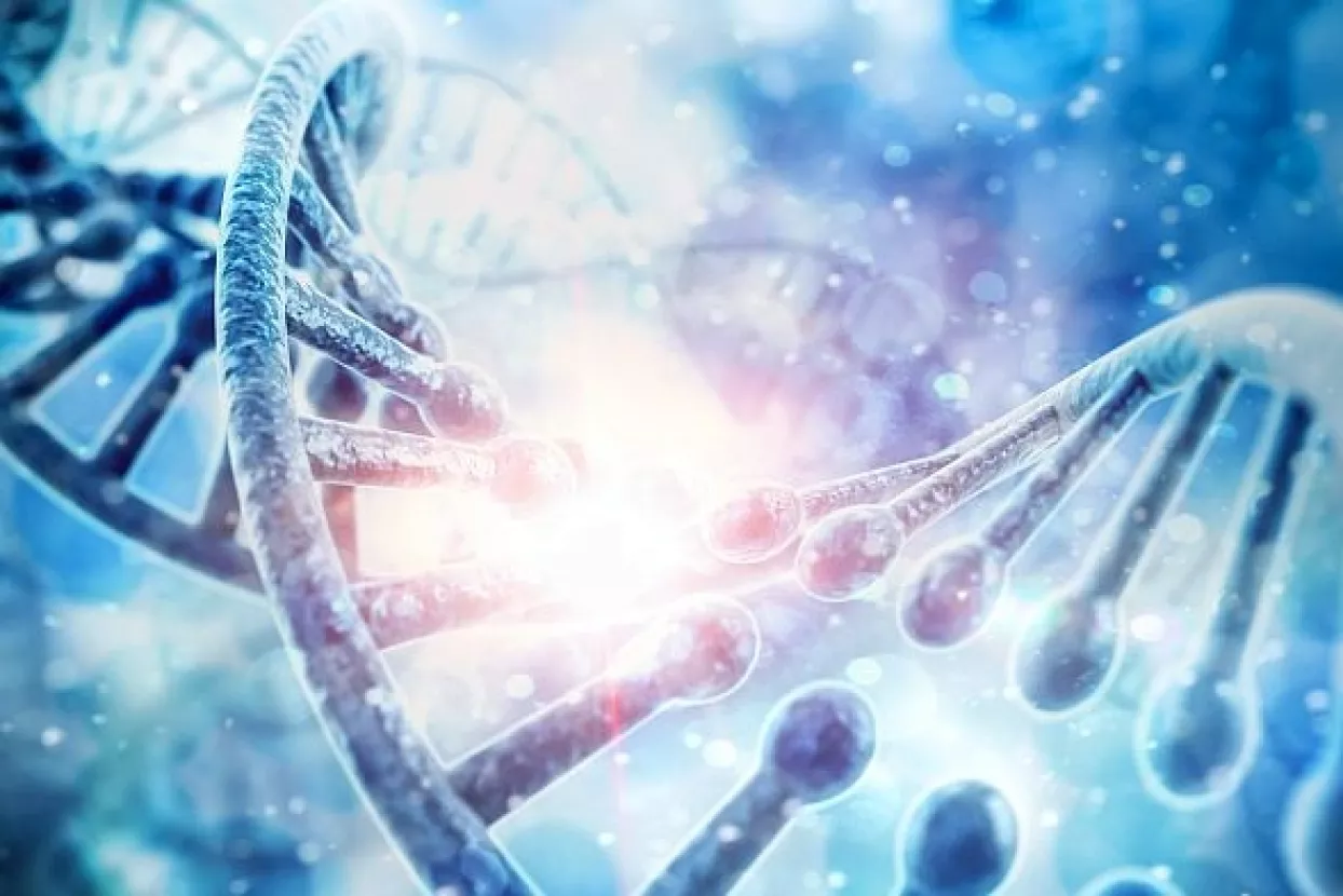 Novo istraživanje tvrdi da je evolucija čovjeka započela na Balkanu