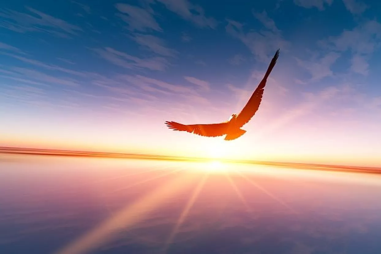 VIDEO: U orlovom gnijezdu