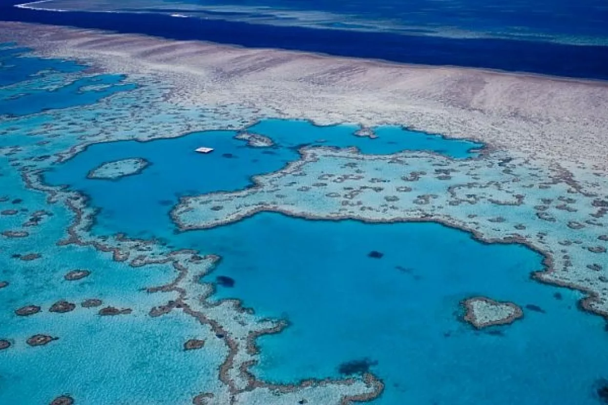 Veliki koraljni greben u većoj opasnosti no što se mislilo
