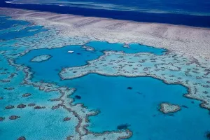 Veliki koraljni greben u većoj opasnosti no što se mislilo