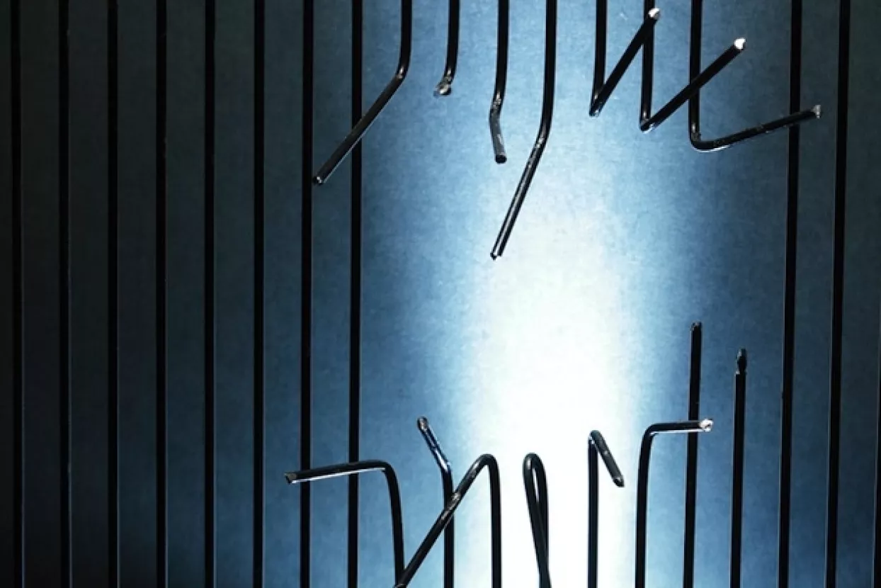 Nizozemci uvoze kažnjenike da popune kapacitete zatvora