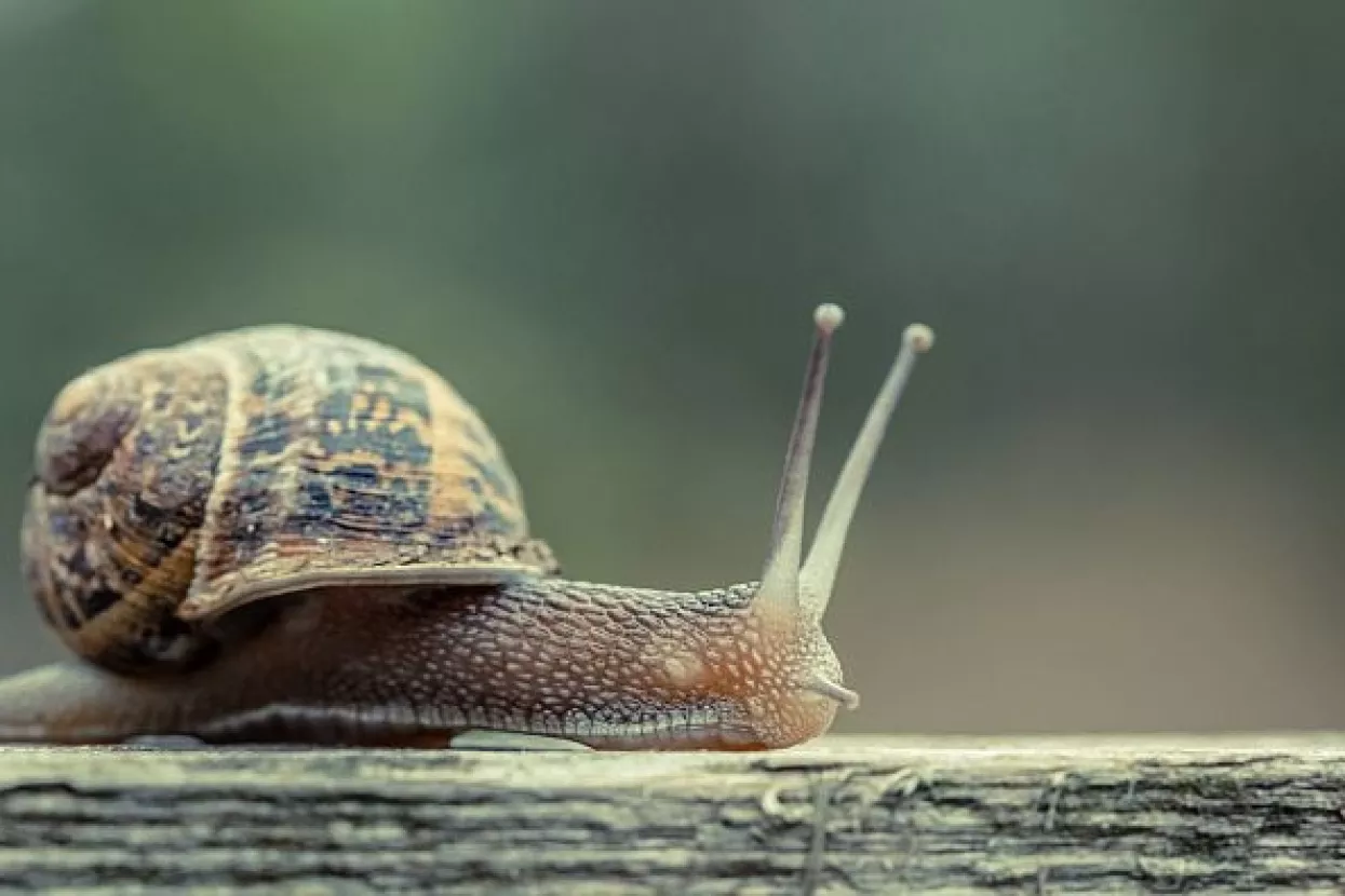 Novotny: Hrvatska unatoč rastu ulazi u razdoblje sekularne stagnacije