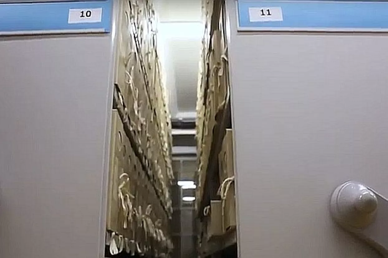 Otvoreno oko 60.000 dosjea bivše Službe državne sigurnosti, najzanimljivije izostalo