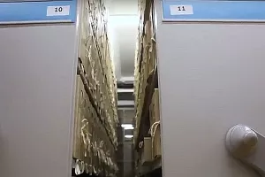 Otvoreno oko 60.000 dosjea bivše Službe državne sigurnosti, najzanimljivije izostalo