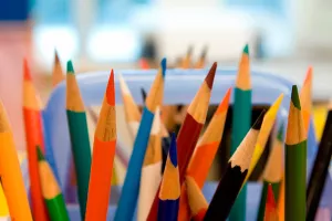 Članica ERS-a za kurikularnu reformu Farkaš podnijela ostavku