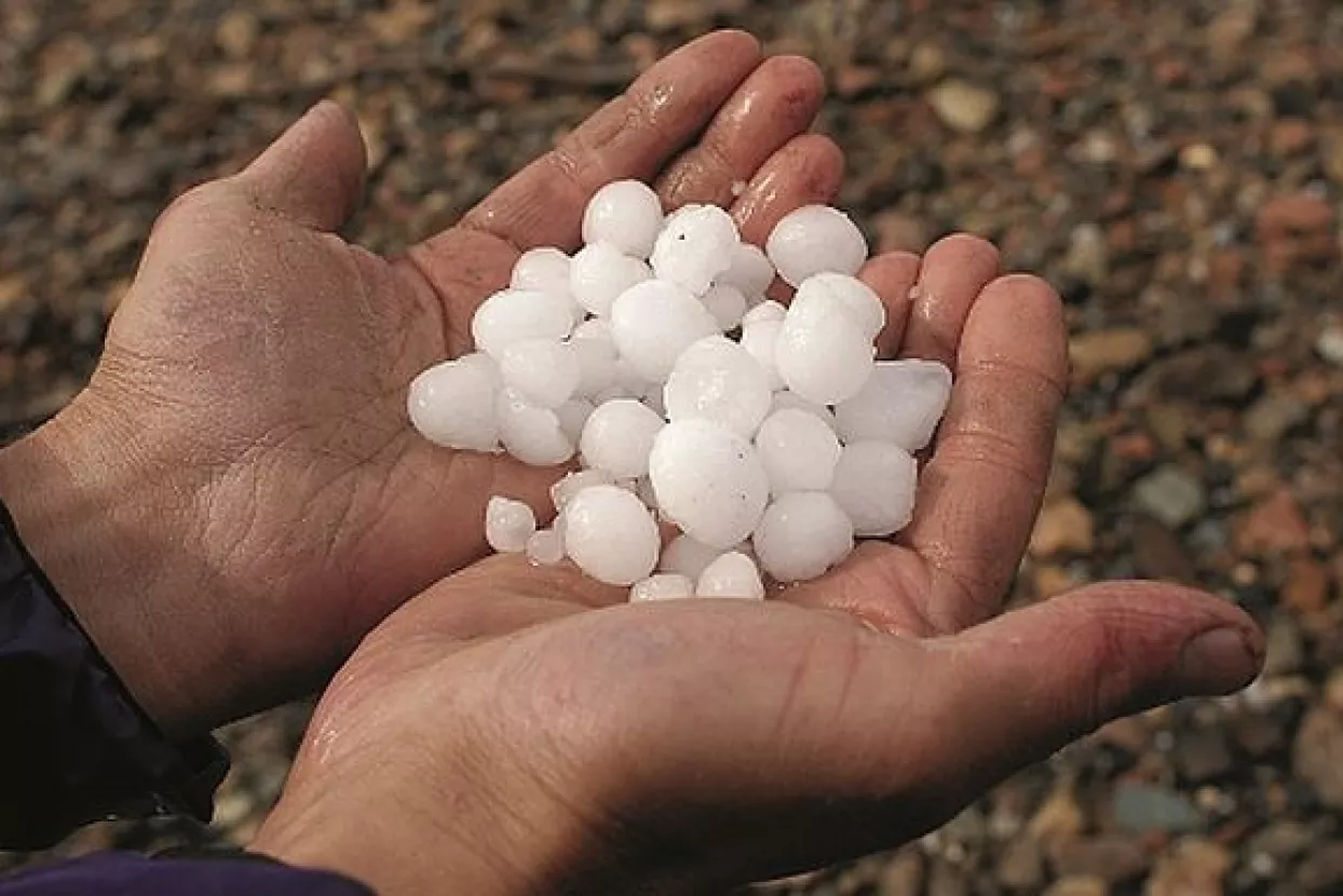 Očaj zbog osiguranja, a ne zbog tuče