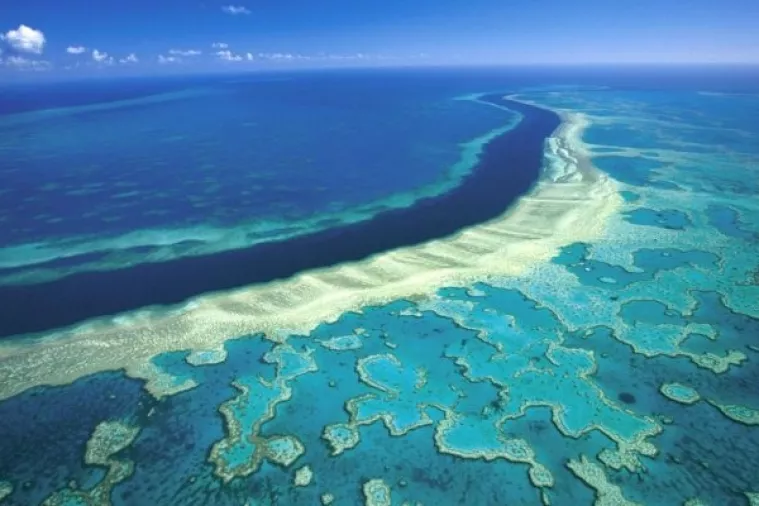 Veliki koraljni greben vrijedi 37 milijardi eura