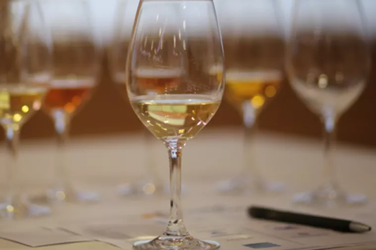 Prva međunarodna konferencija o gra&scaron;evini