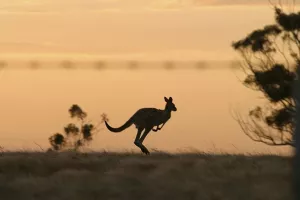 Anketa: Bezboštvo je najpopularnija 'religija' Australije
