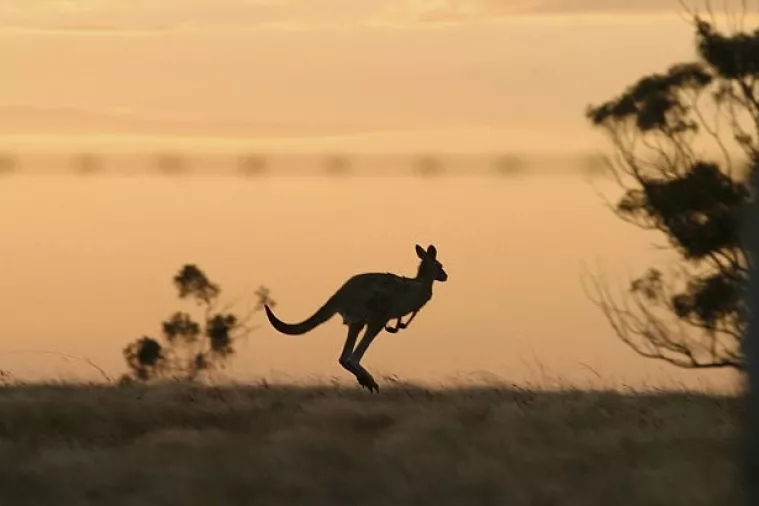 Anketa: Bezboštvo je najpopularnija 'religija' Australije