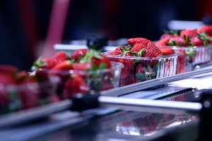 Potražnja prenapreže kapacitete proizvodnog sektora eurozone