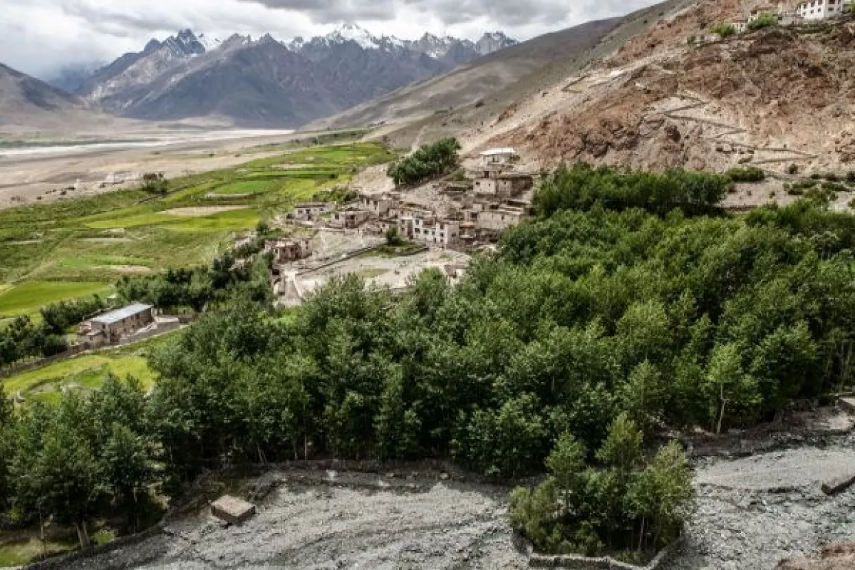 Indija postavila Guinnessov rekord u pošumljavanju; u 12 sati posađeno gotovo 67 milijuna stabala