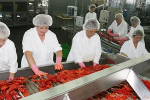 DZS: Svibanj donio porast zaposlenosti u industriji