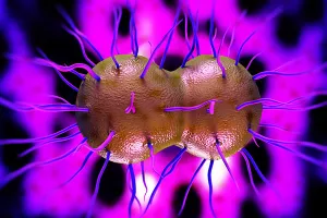 WHO: Gonoreja postaje sve raširenija i neizlječiva bolest