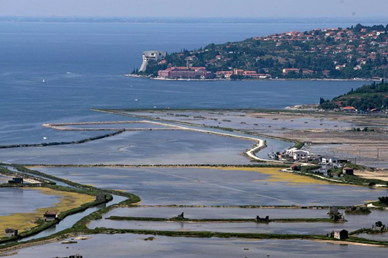 Zaljev kao nogomet: Najvažnija sporedna stvar u odnosima između Hrvatske i Slovenije