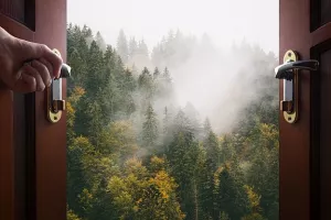 Otvoreni kôd preuzima prvenstvo