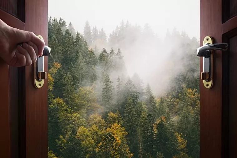 Otvoreni kôd preuzima prvenstvo