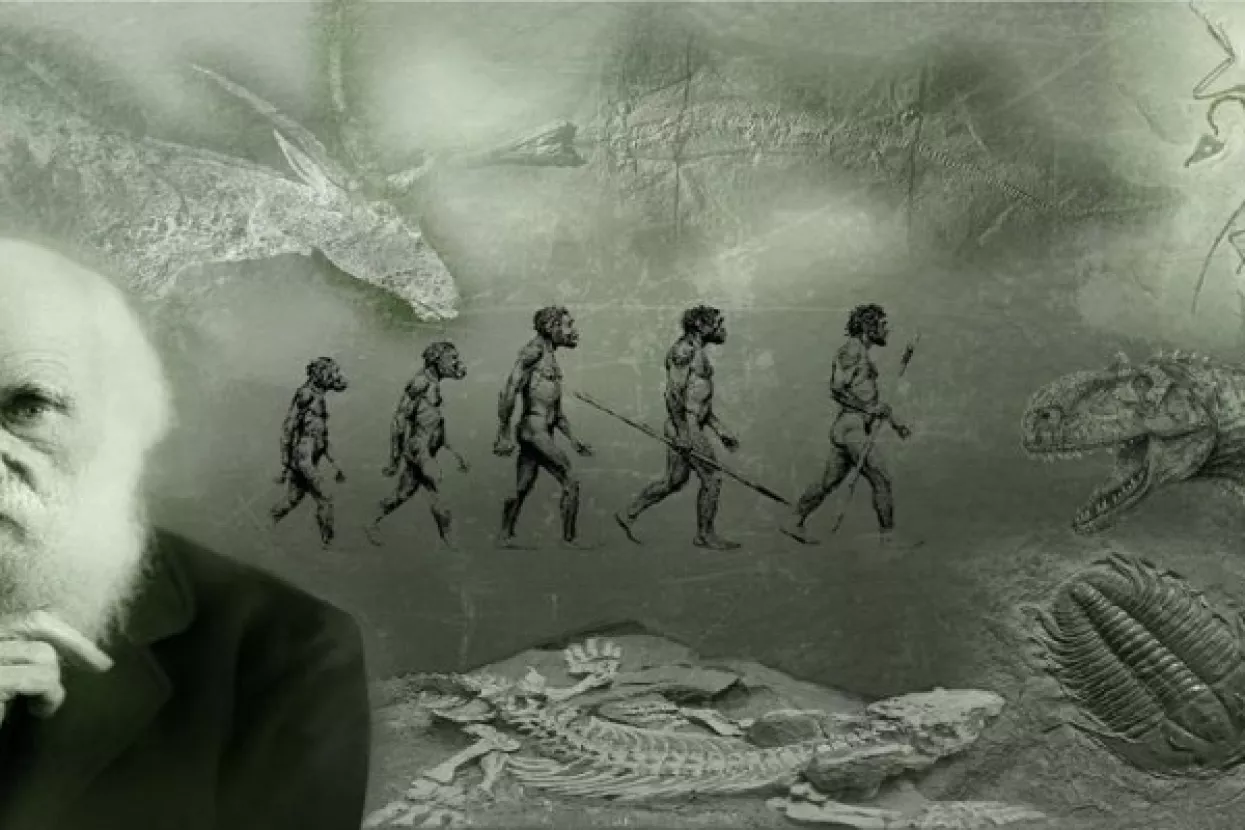 Evolucija izbačena, džihad uvršten: Turska predstavila novi školski kurikulum