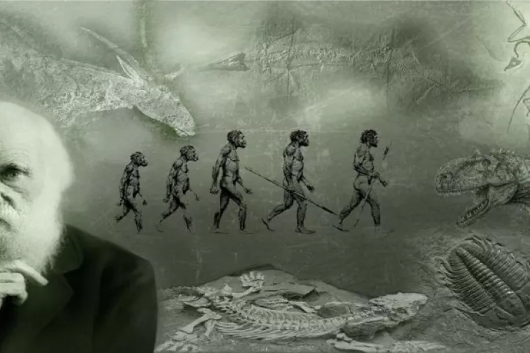 Evolucija izbačena, džihad uvršten: Turska predstavila novi školski kurikulum