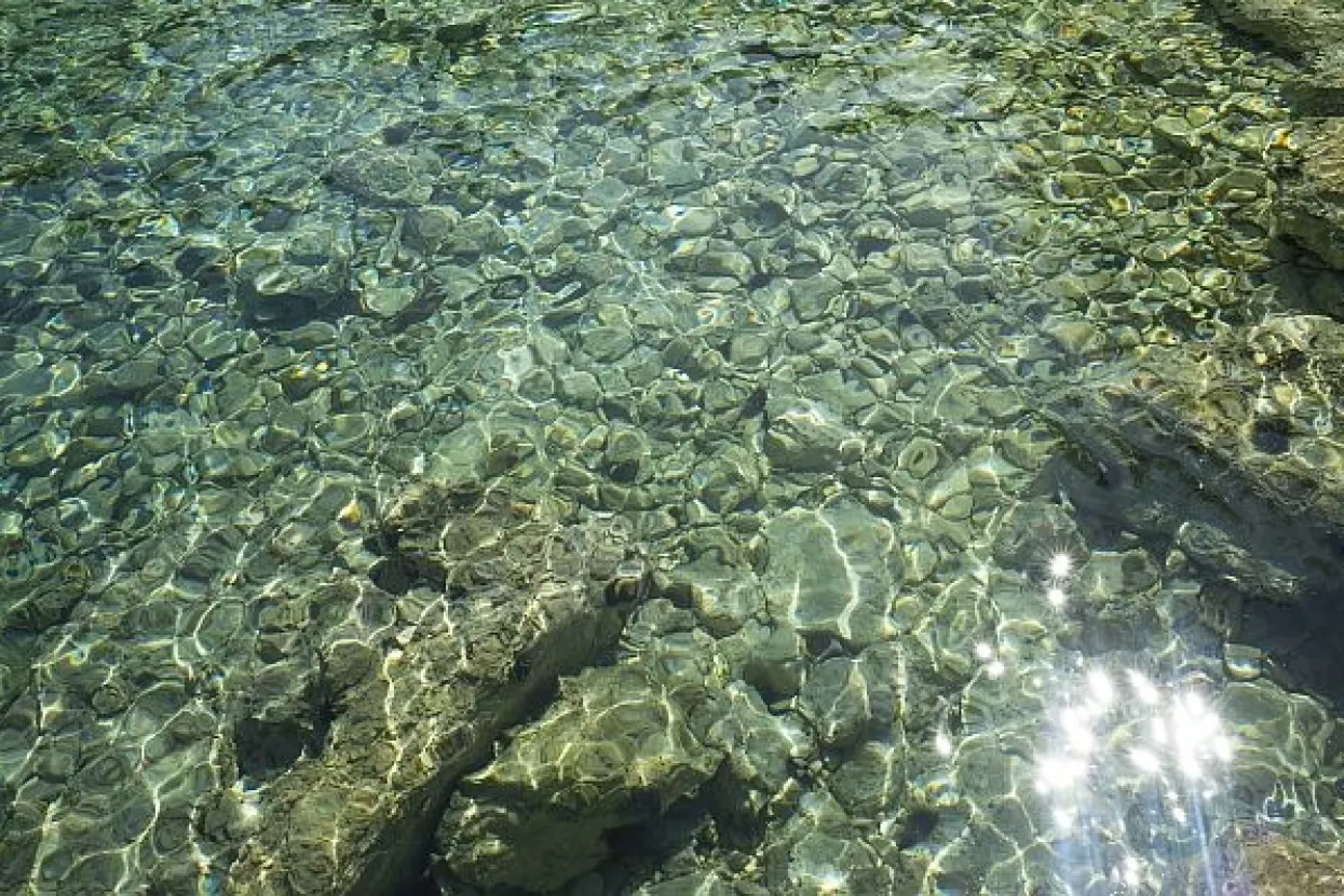 Arbitražne nesuglasice neće spriječiti slovenskog predsjednika da ljetuje na hrvatskoj obali