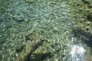 Arbitražne nesuglasice neće spriječiti slovenskog predsjednika da ljetuje na hrvatskoj obali