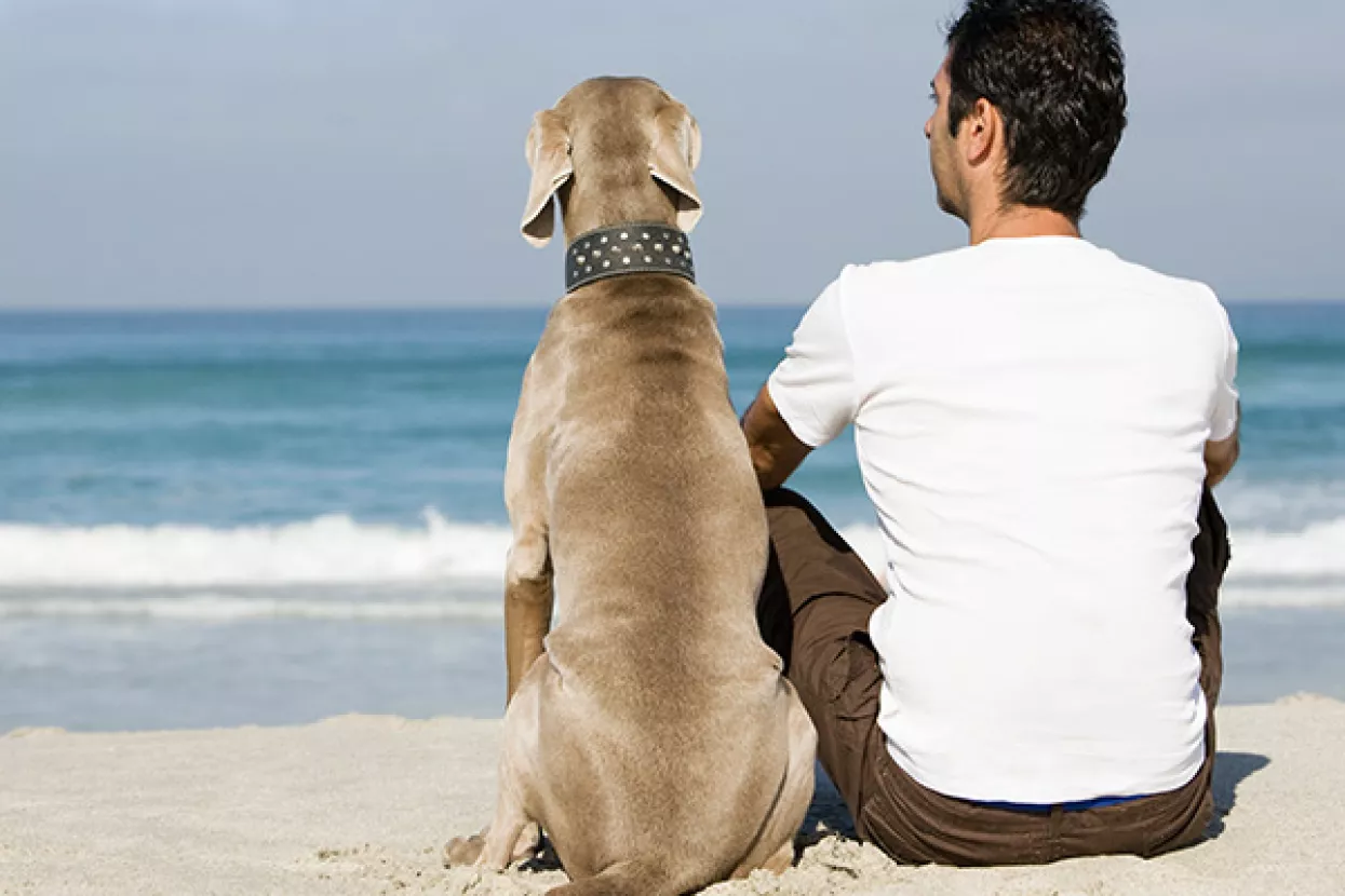 Psi druželjubivost nose u genima