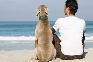 Psi druželjubivost nose u genima