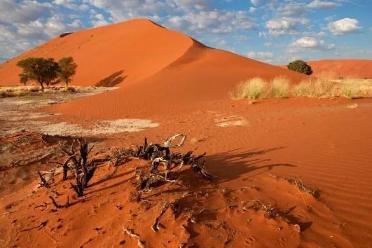 BBC Earth: Ultimativni test preživljavanja u pustinji