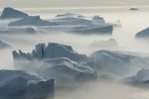 Crne alge na površini Grenlanda najavljuju dizanje mora