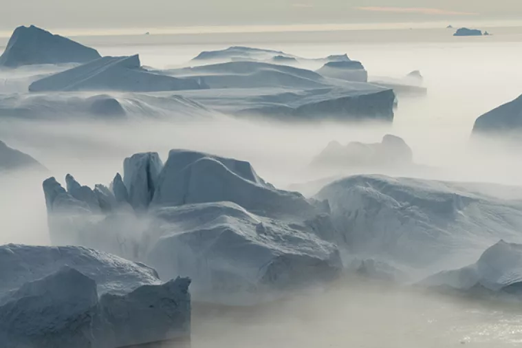 Crne alge na površini Grenlanda najavljuju dizanje mora