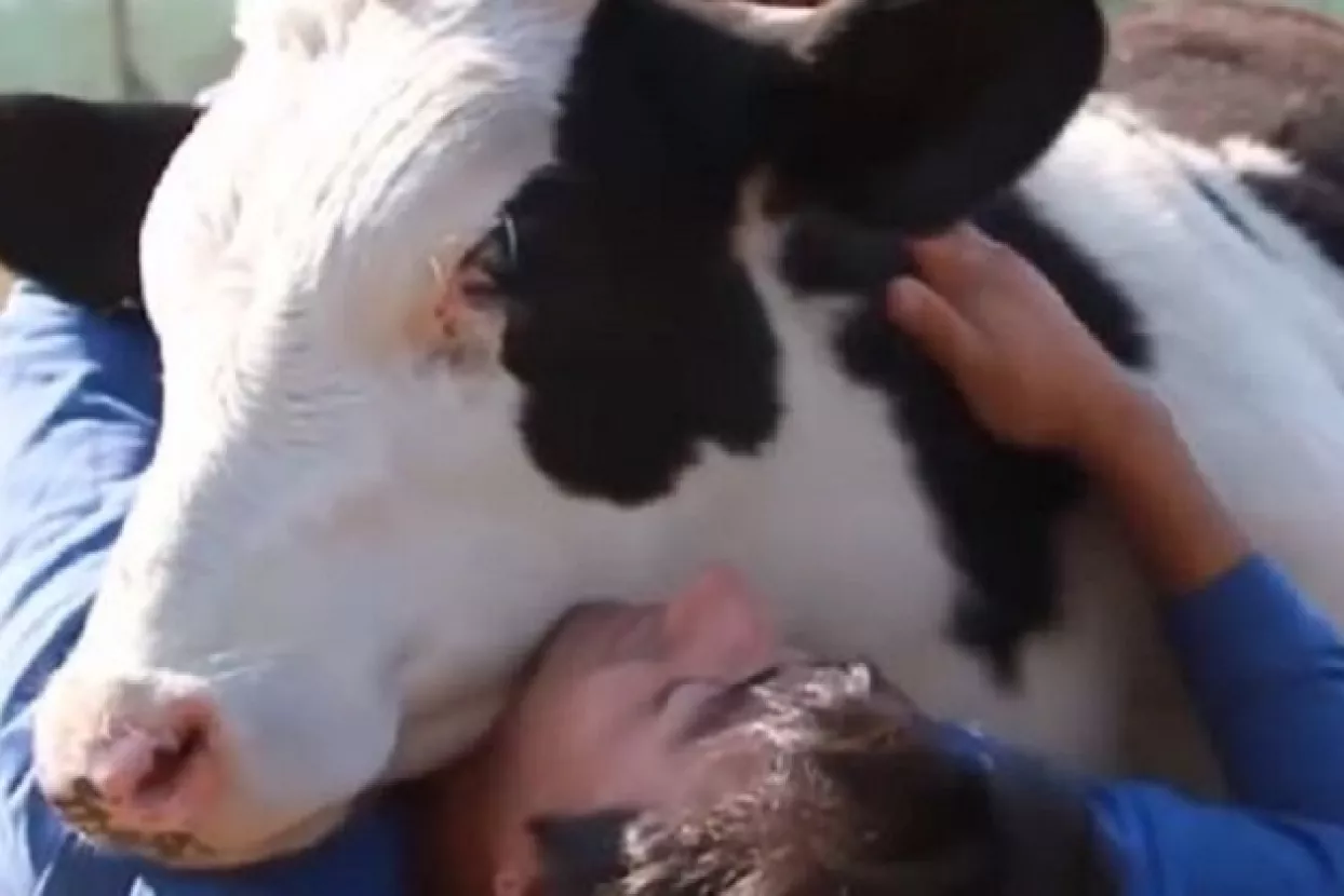 Znanost i psihologija otkrivaju tajne 'viralnog' sadržaja