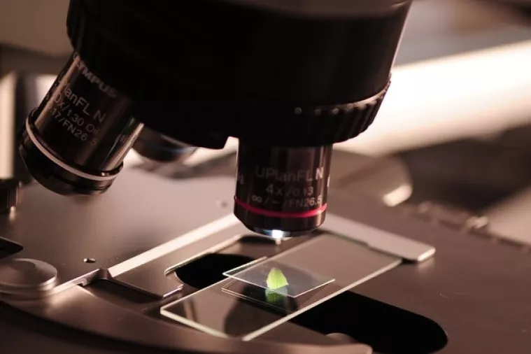 Znanstvenici 'popravili' gene embrija da zaustave nasljednu srčanu bolest