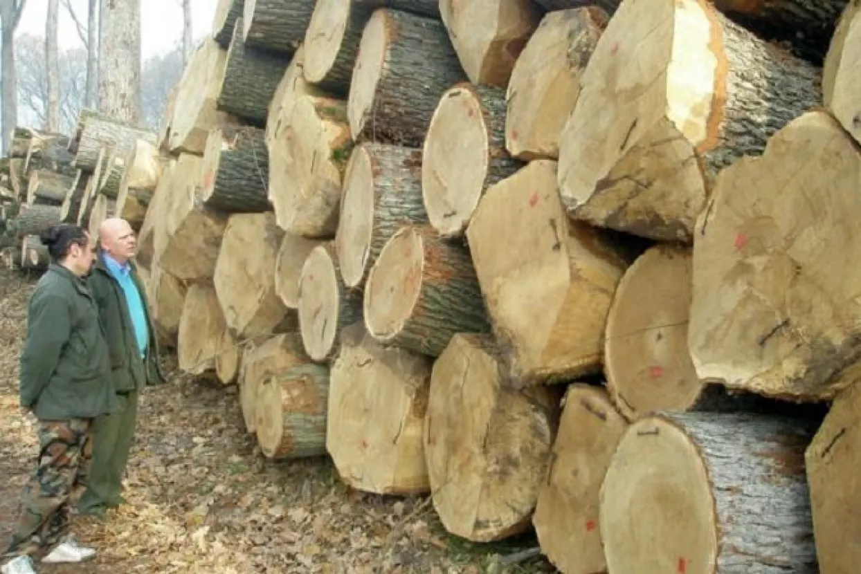 Talijani se bune zbog zabrane izvoza hrastovih trupaca