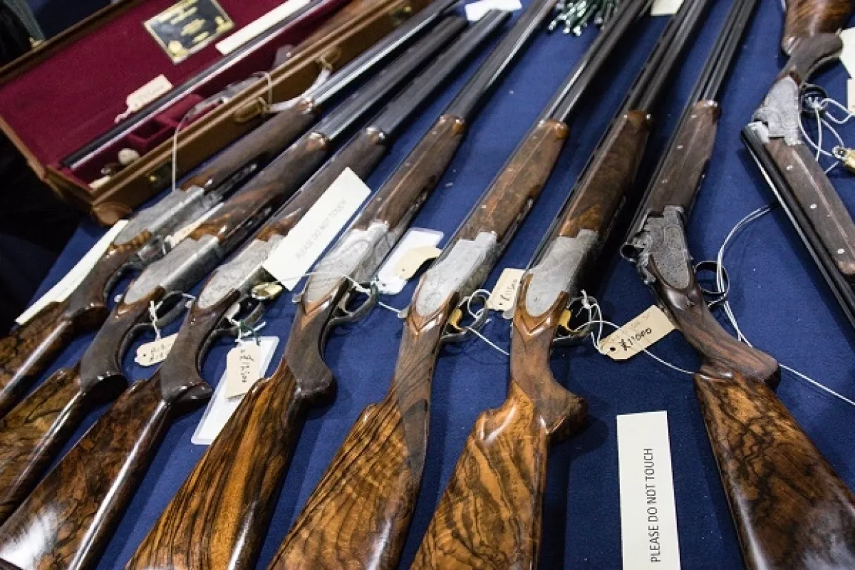 Češka tuži EU zbog kontrole oružja