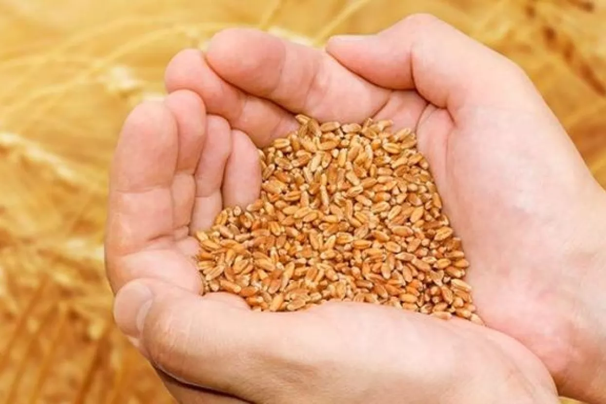 Vi&scaron;nja Stare&scaron;ina: Belje nije samo tvrtka, tko ima Belje, ima i upravu nad Baranjom